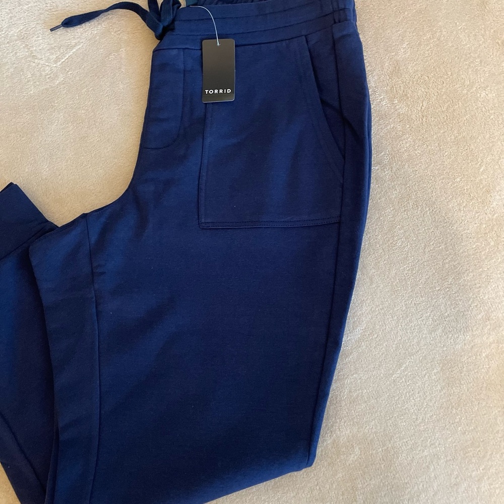 Torrid Ultra Soft Fleece Drawstring Jogger Pants - Size 1X - Picture 3 of 12